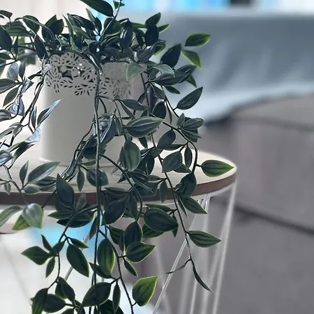 Secreto De Mar En Playa De Americas