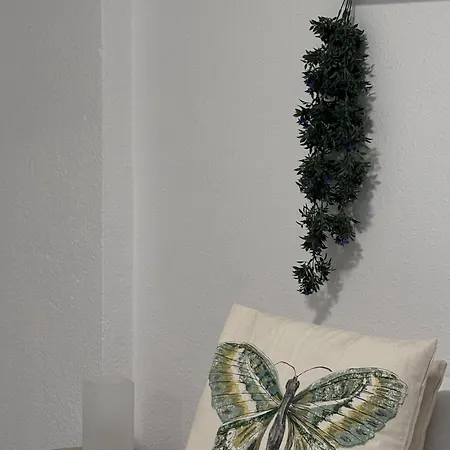 Secreto De Mar En Playa De Americas *