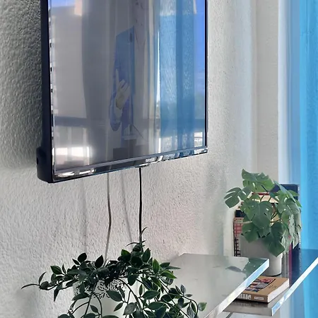 Secreto De Mar En Playa De Americas